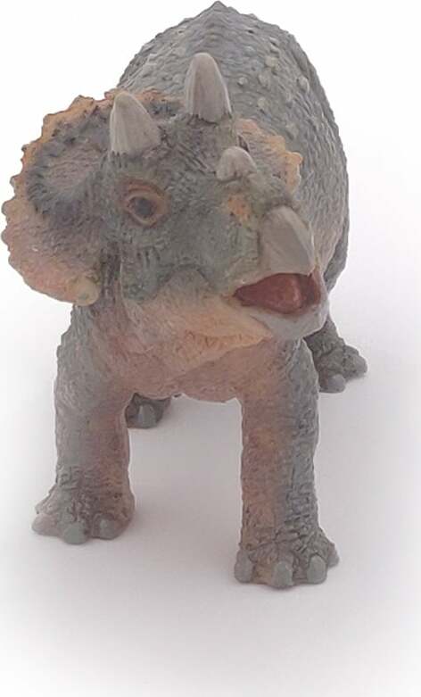 Papo France Young Triceratops