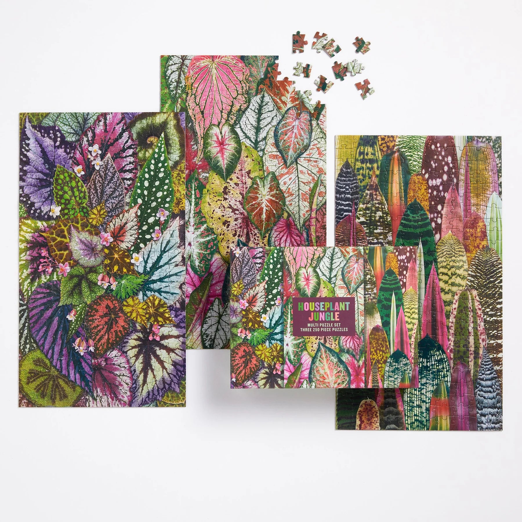 3-in-1 Houseplant Jungle Puzz