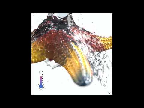 Starfish - Color Change