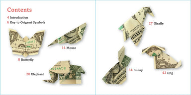 Dollar Origami Kit