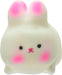 Bunny Squeeze Toy