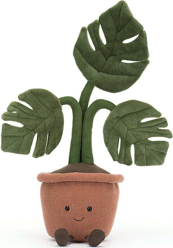 Amuseable Monstera Plant