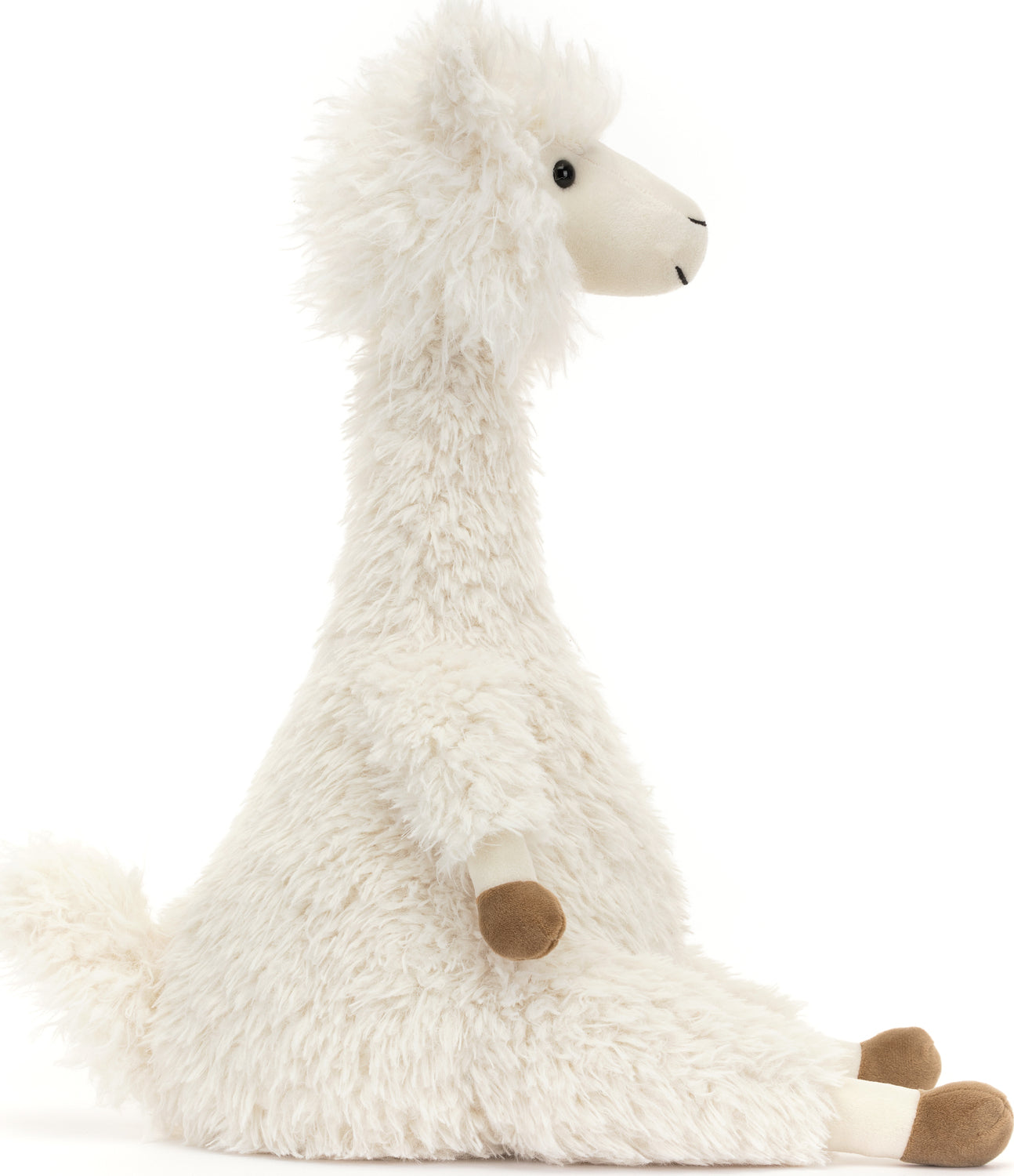 Alonso Alpaca