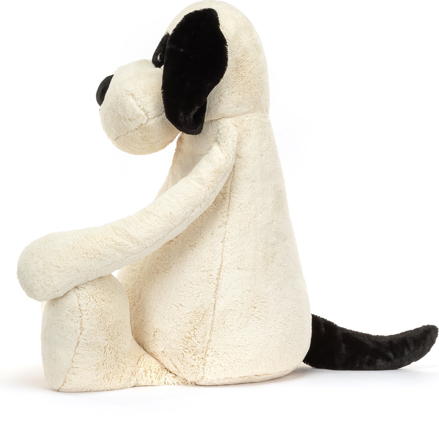 Bashful Black & Cream Puppy Gigantic