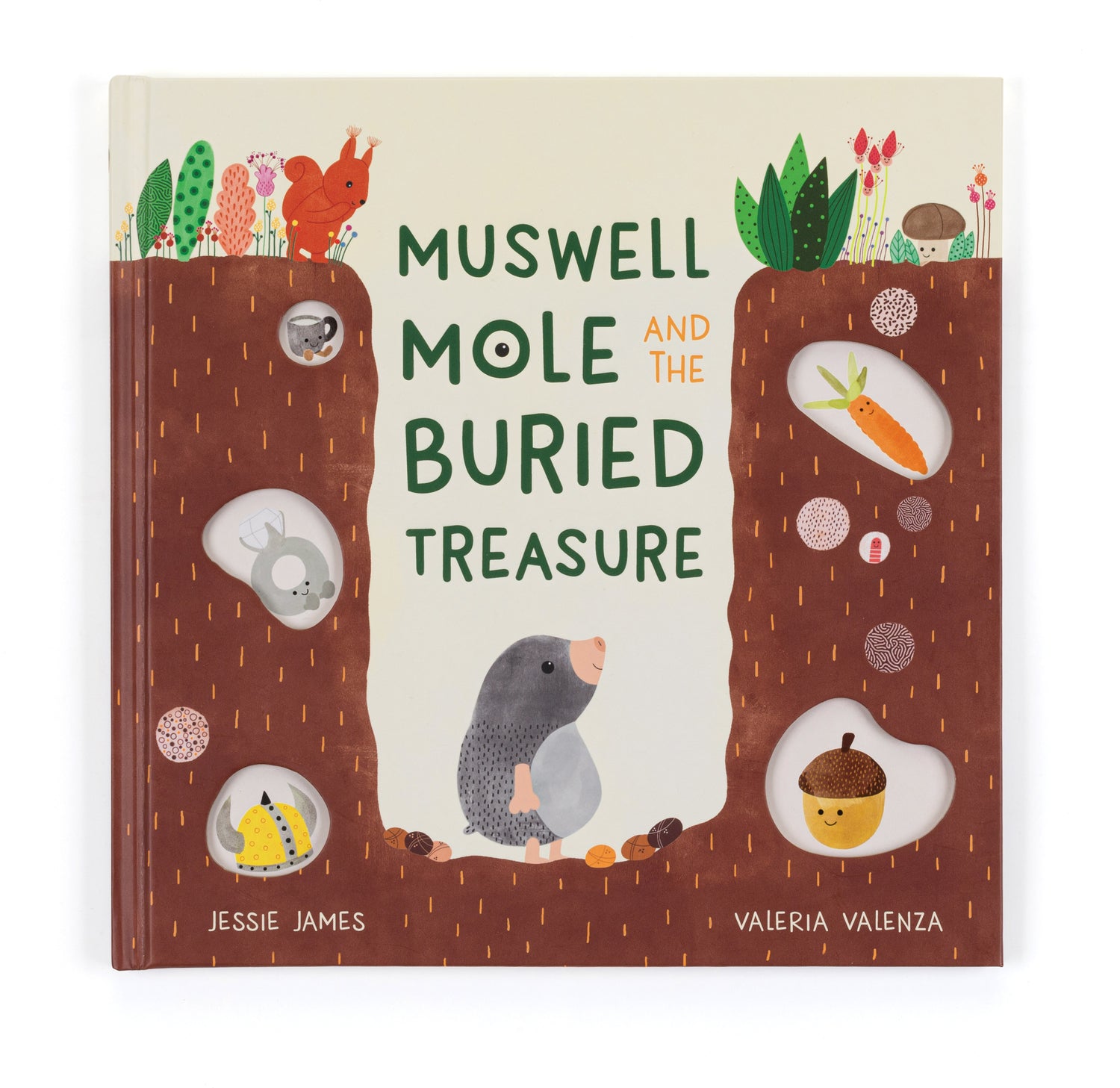 Muswell Mole And The Buried Treasure Book