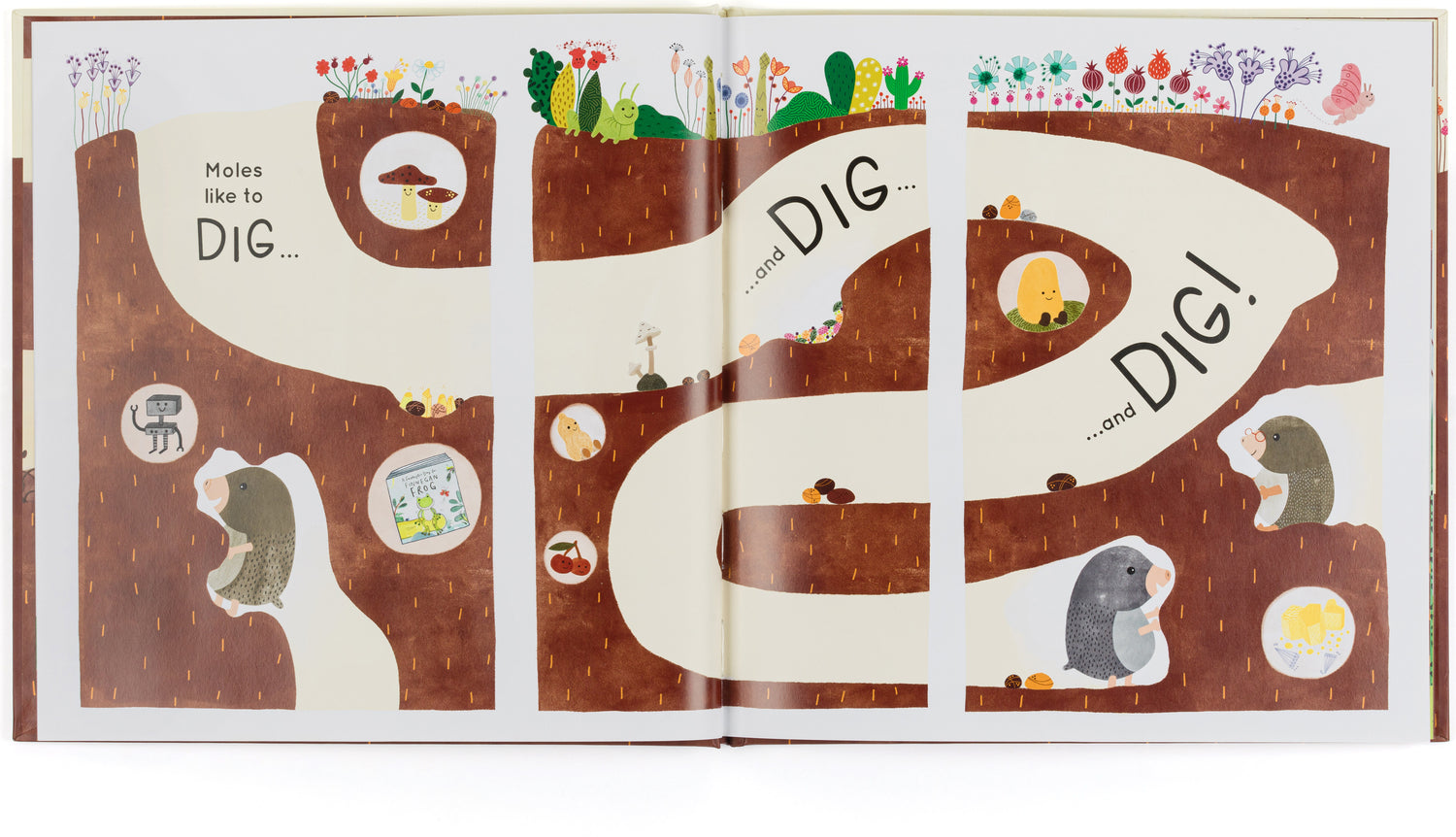 Muswell Mole And The Buried Treasure Book