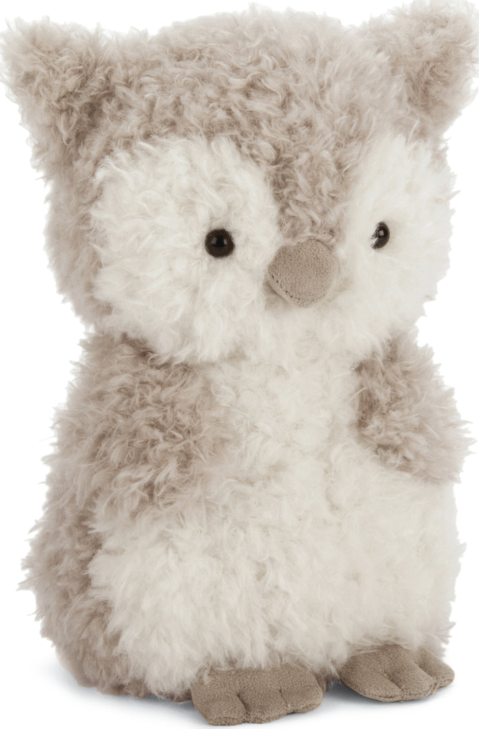 Little Owl