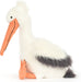 Keli Pelican