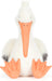 Keli Pelican