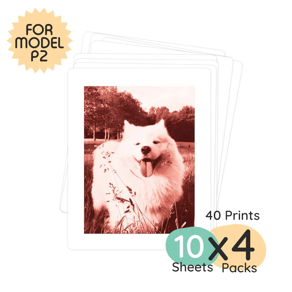 Model P2 Print Pack 40 Prints