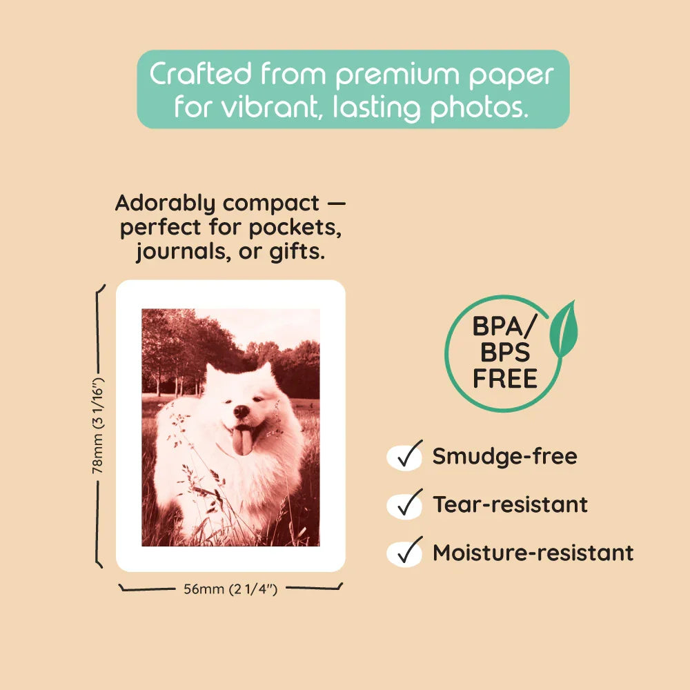 Model P2 Print Pack 40 Prints