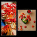 LEGO Botanicals: Japanese Red Maple Bonsai Tree