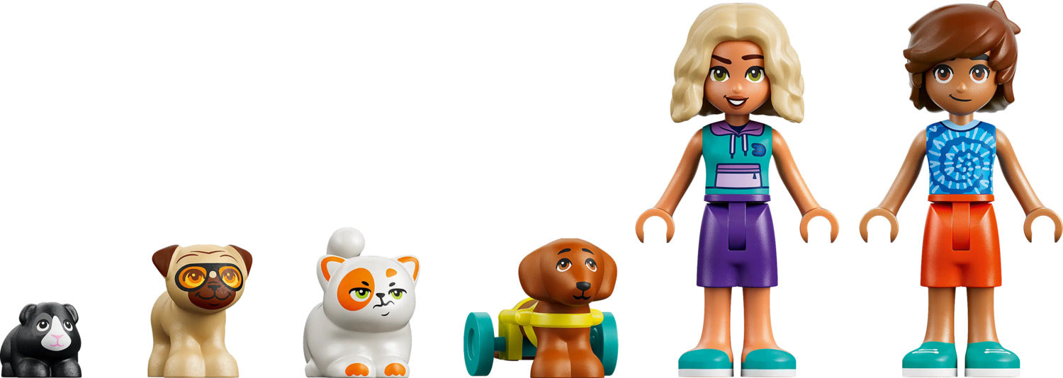 LEGO® Friends Fun Water Park Day
