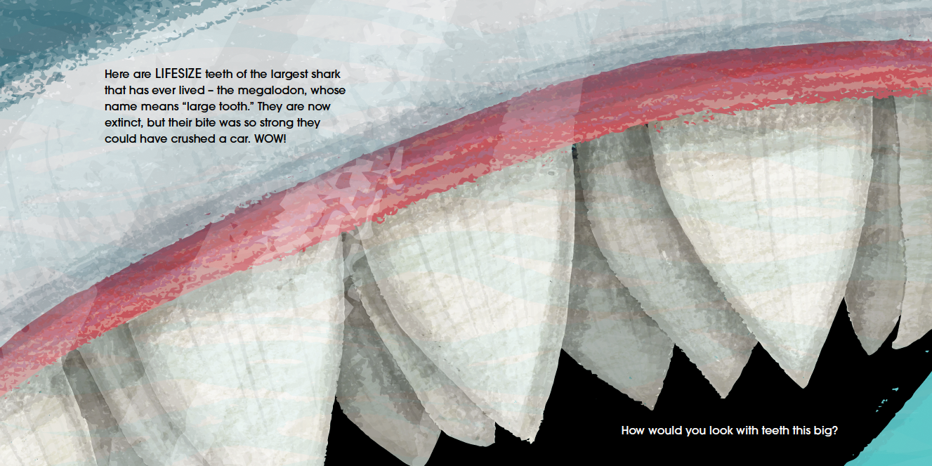 Lifesize Ocean Animals