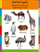 First 100 Play Book: A first 100 words wipe-clean activity book