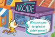 Joke: Cat Arcade Frog