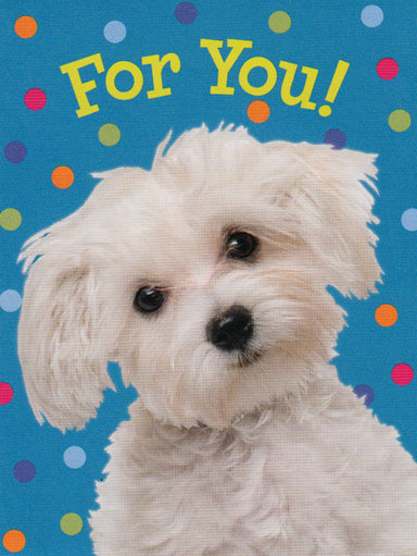 For You! White Dog Card