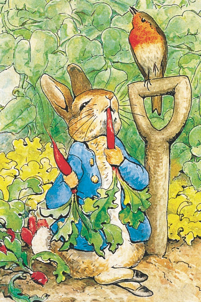 Peter Rabbit Mini Mini Puzzle (20 Pc)
