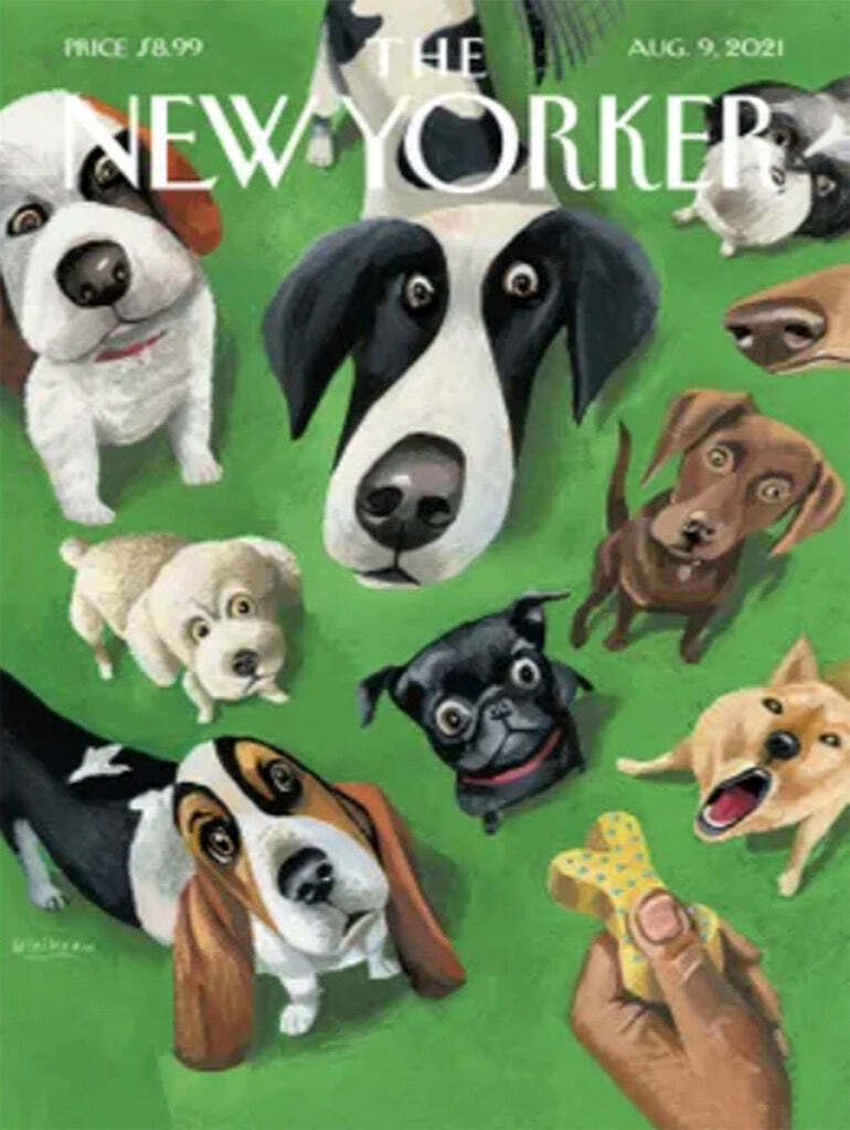 Summer Treat Puzzle (500 Pc)