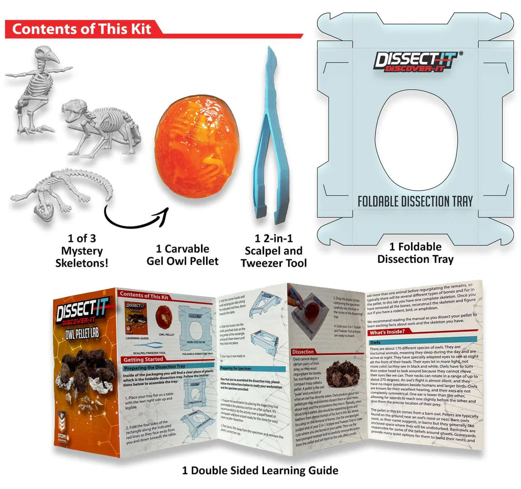 Discover it Owl Pellet Lab