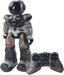 XTREME BOT (Metal)