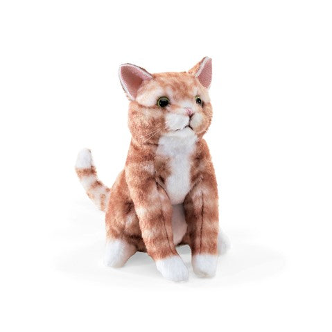 Mini Orange Tabby Cat