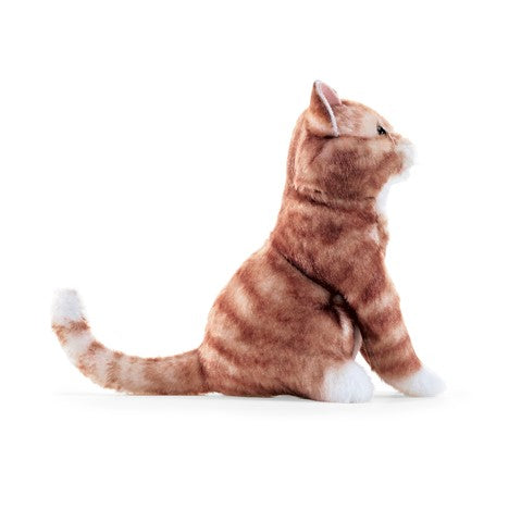 Mini Orange Tabby Cat