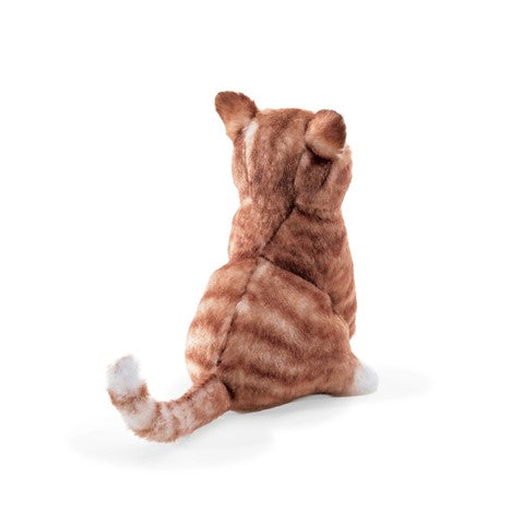 Mini Orange Tabby Cat