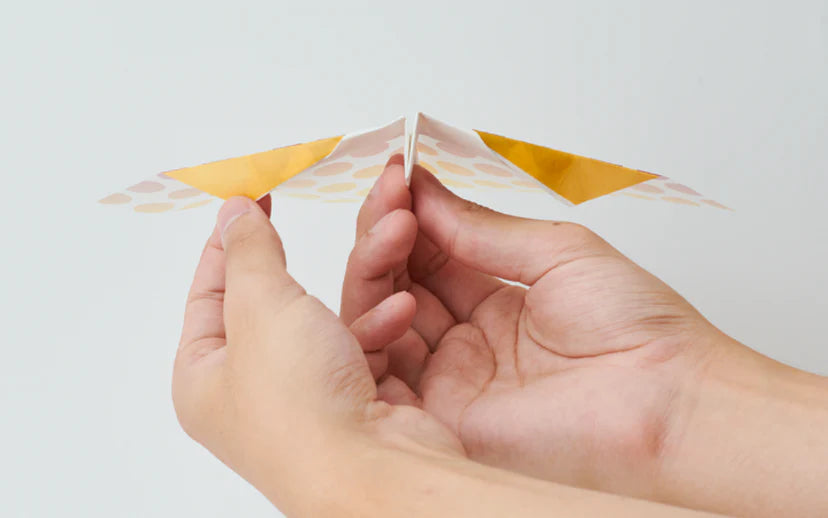 Papillon Origami Airplanes - Breezy Stripe (1 Piece)