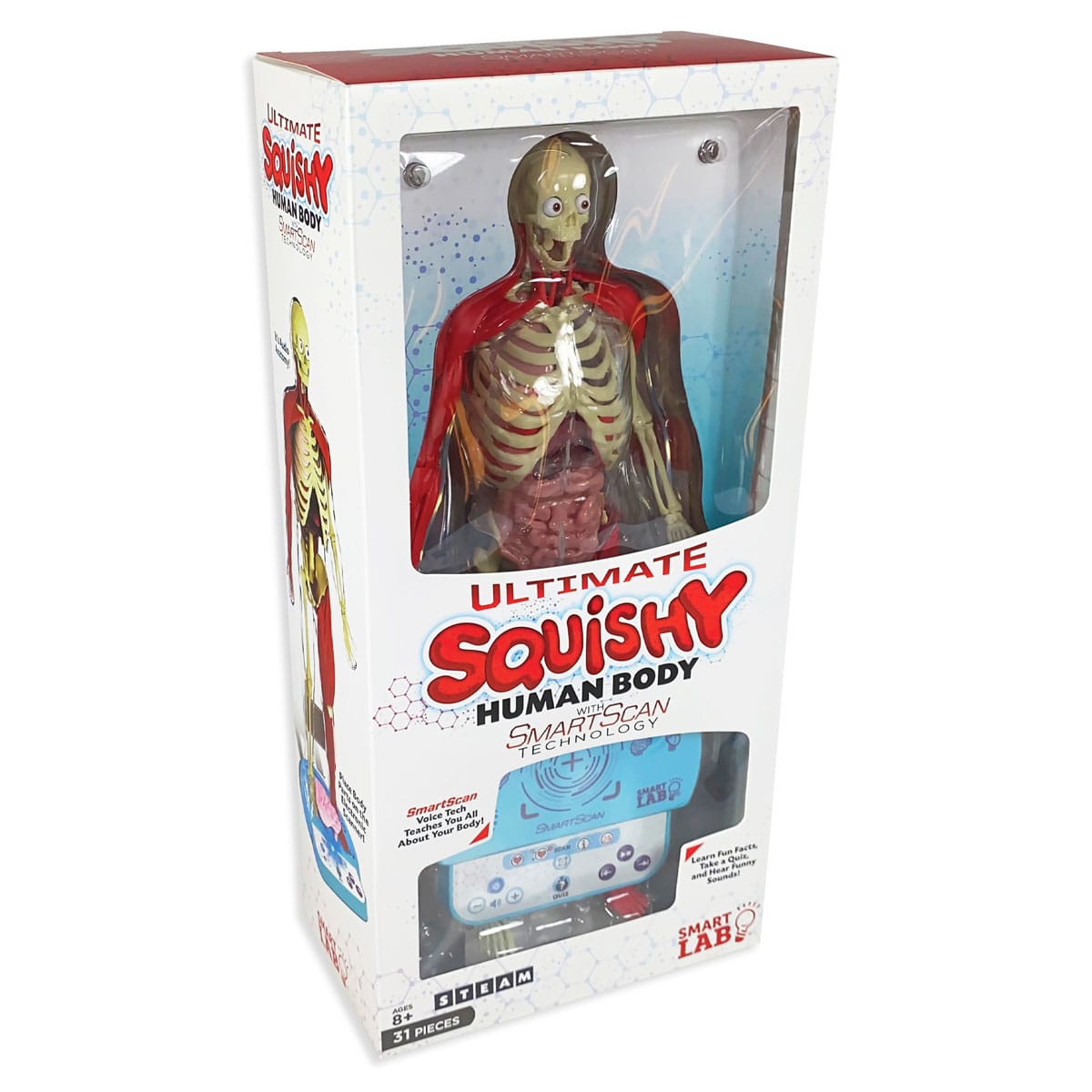 SLT Ultimate Squishy Human Body Lab