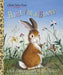 Home for a Bunny: A Classic Bunny Book for Kids