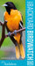 Audubon Pocket Backyard Birdwatch, 2nd Edition