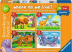 My First Puzzles: Where do We Live (6, 8, 10, 12 Piece Puzzles)