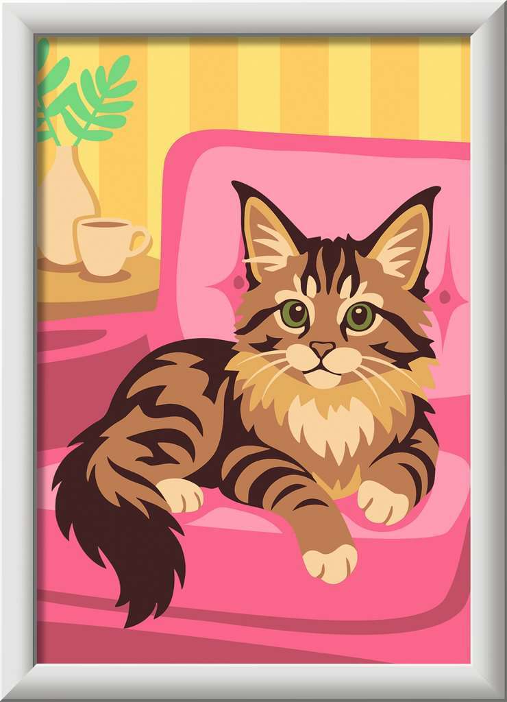 CreArt: Maine Coon Kitten 5x7