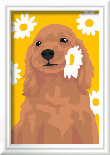 CreArt: Sunny Cocker Spaniel 3x5