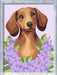 CreArt: Dachshund Lilac 7x10
