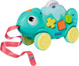 Color & Shape Sorter: Chameleon*
