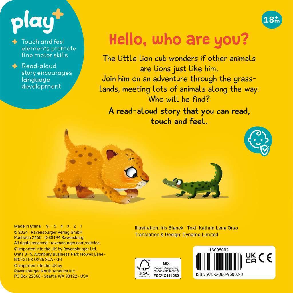 Book: Are You A Lion Like Me?