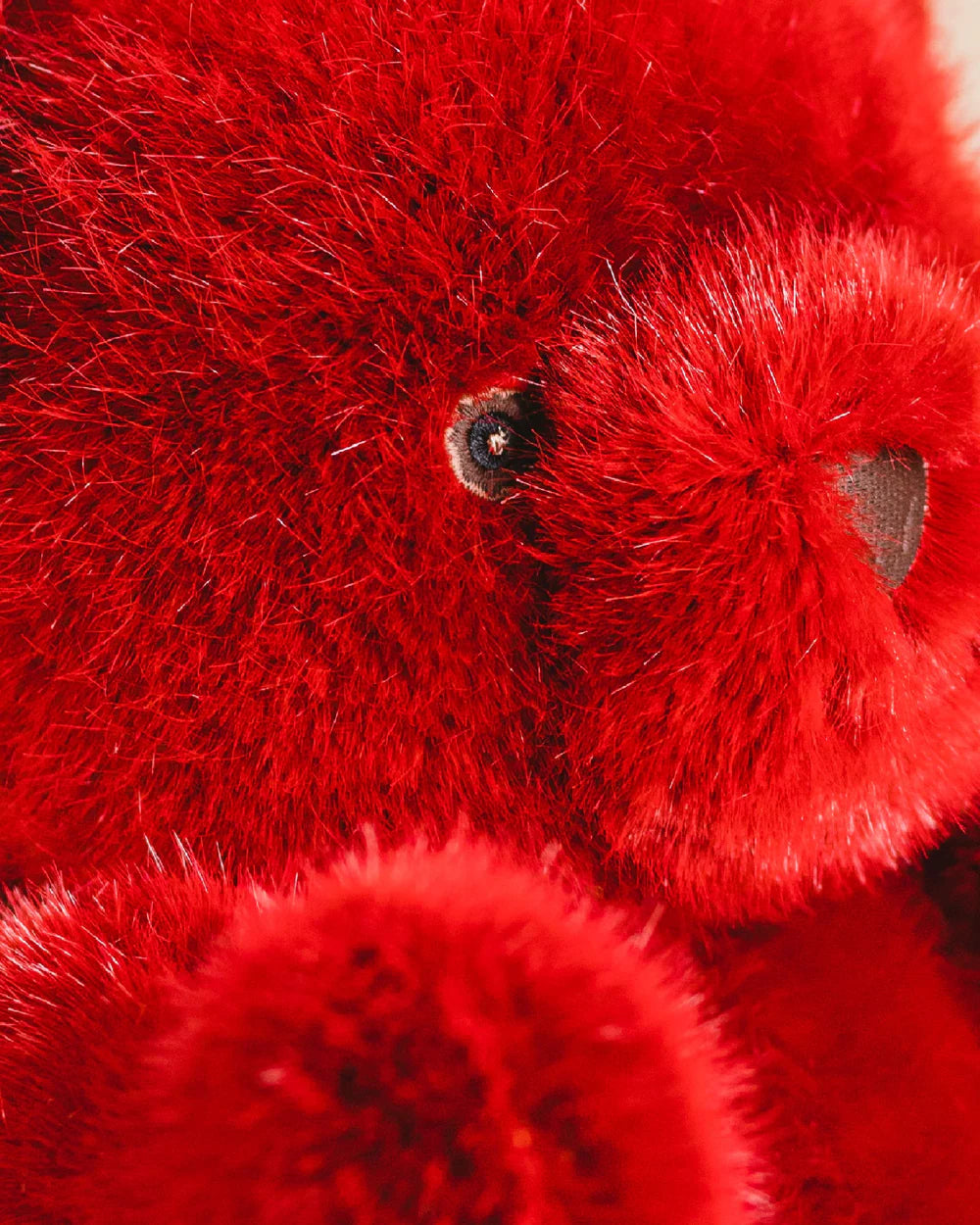 Robert the Bear Large Red