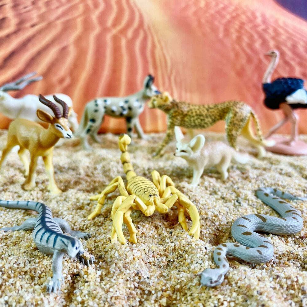 Sahara Desert Animals TOOB