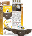 EUGY Bald Eagle 3D Puzzle