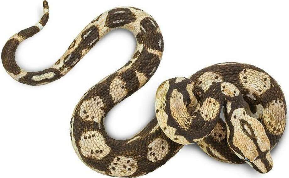 Boa Constrictor Toy