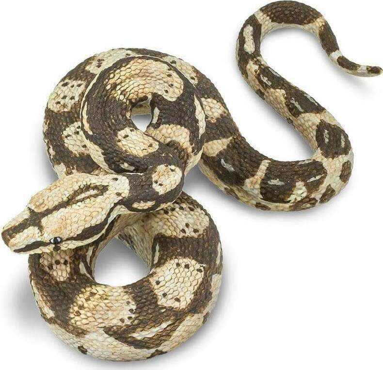 Boa Constrictor Toy