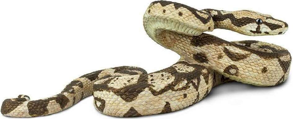 Boa Constrictor Toy