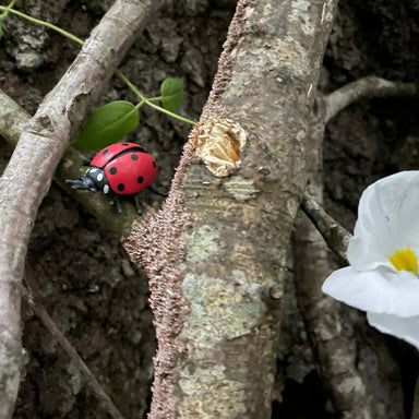 Ladybugs-Good Luck Minis® (sold individually)