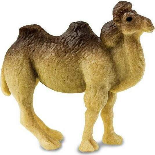 Camels-Good Luck Minis® (sold individually)
