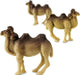 Camels-Good Luck Minis® (sold individually)