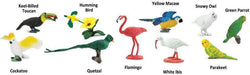 Exotic Birds TOOB®