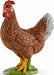 Hen