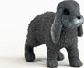 Lop-Eared Rabbit